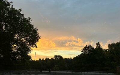 Physique, chimie et biologie