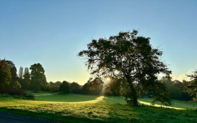 Histoire – Géographie | Primaire et secondaire