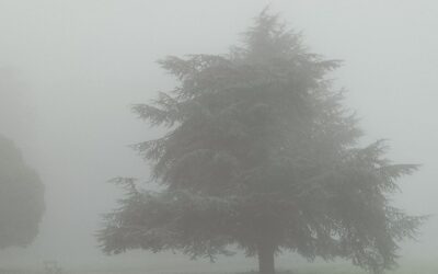 Accompagnement individuel à la réussite de projet